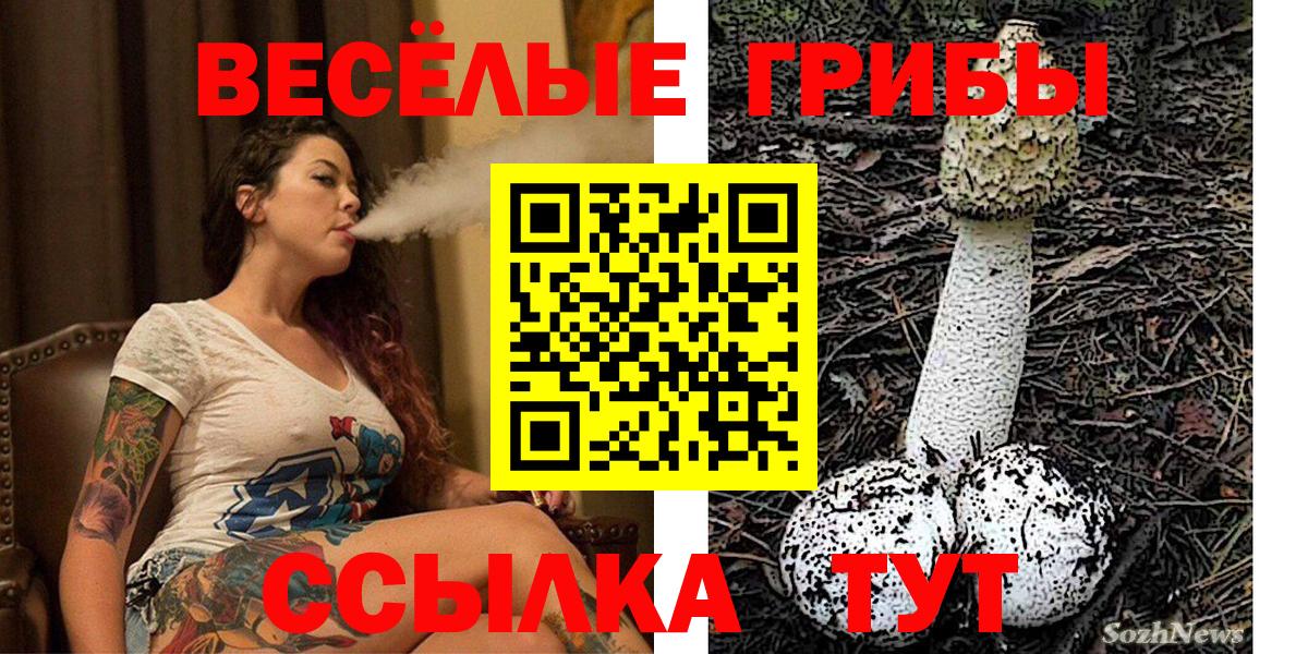 Галлюциногенные грибы мухоморы Нальчик